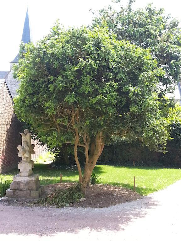 Les Loges D'Etretat Hotel Exterior photo